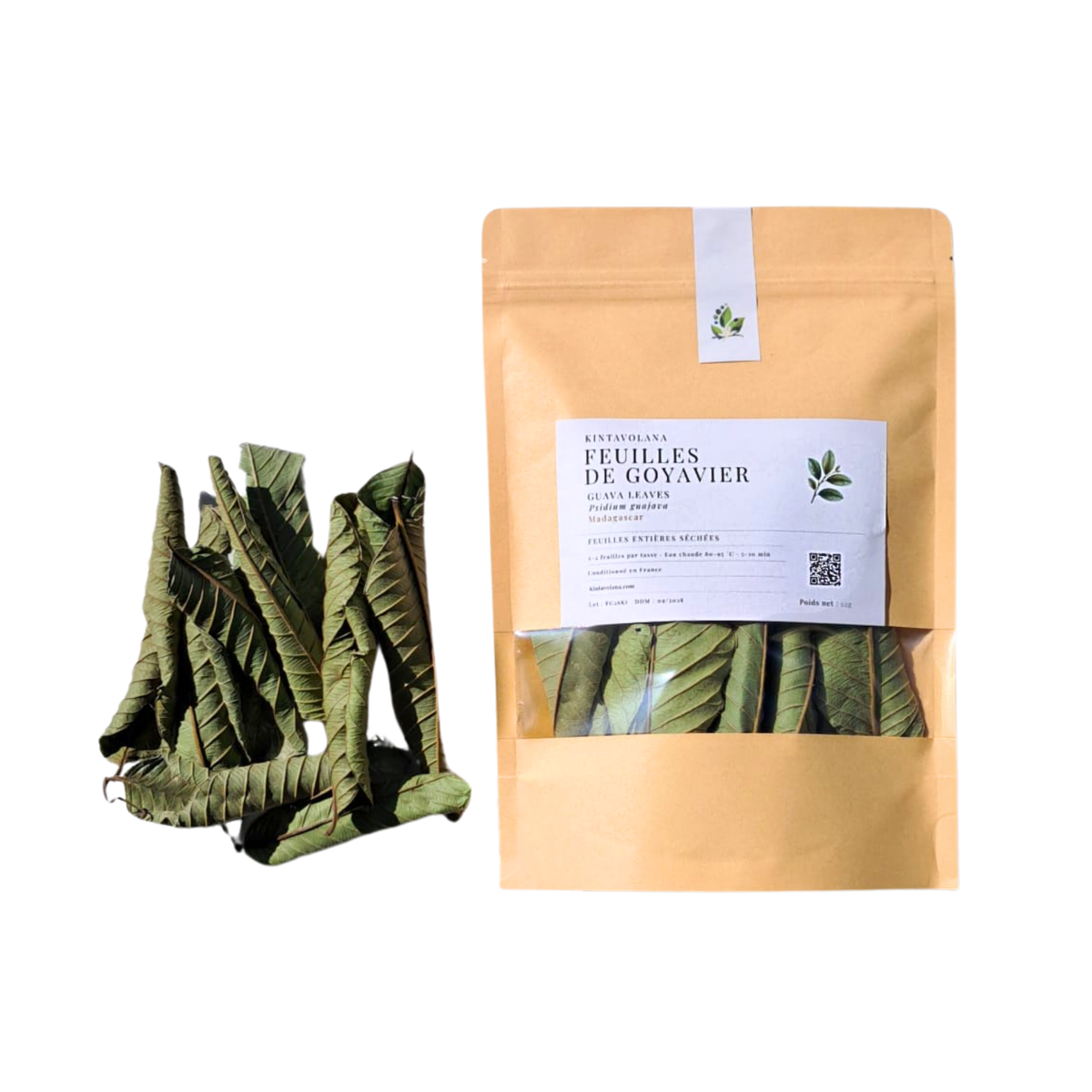 Feuilles entières de goyavier séchées pour tisane, Madagascar – Kintavolana