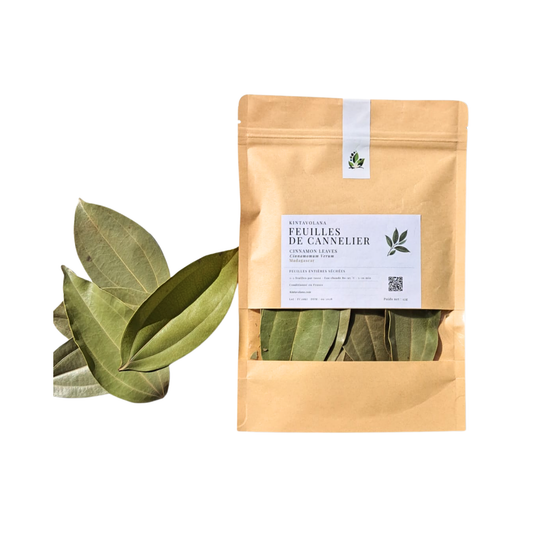 Feuilles de cannelier séchées pour tisane, Madagascar – Kintavolana
