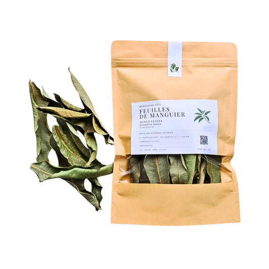 Feuilles de manguier séchées pour tisane, Madagascar – Kintavolana